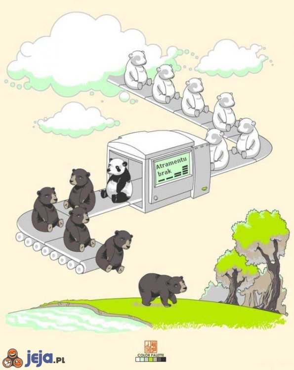 Jak powstały misie panda?