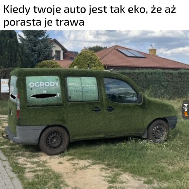 Albo po prostu próbuje wtopić się w tło