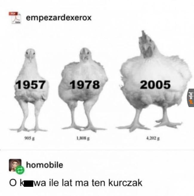 Kurczak stary jak świat