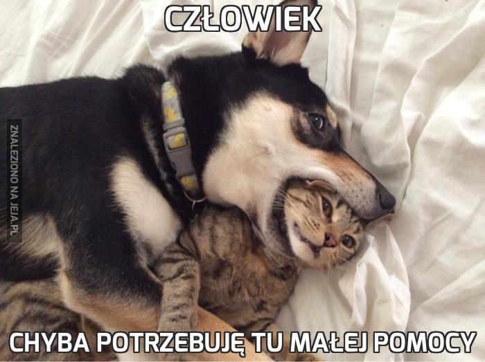 Człowiek