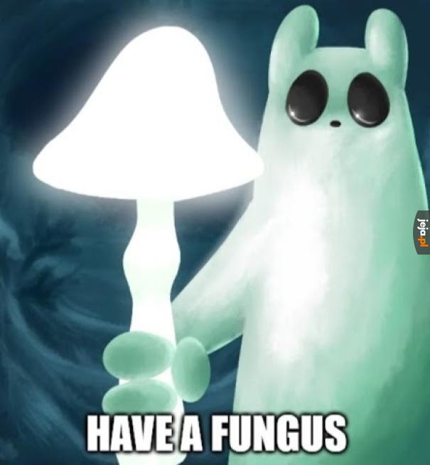 Gzybo ;DDD