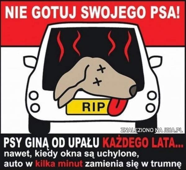 Nie gotuj swojego psa!