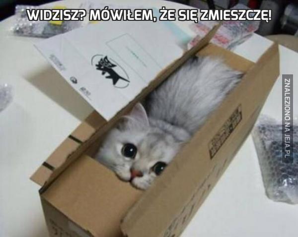 Widzisz? Mówiłem, że się zmieszczę!