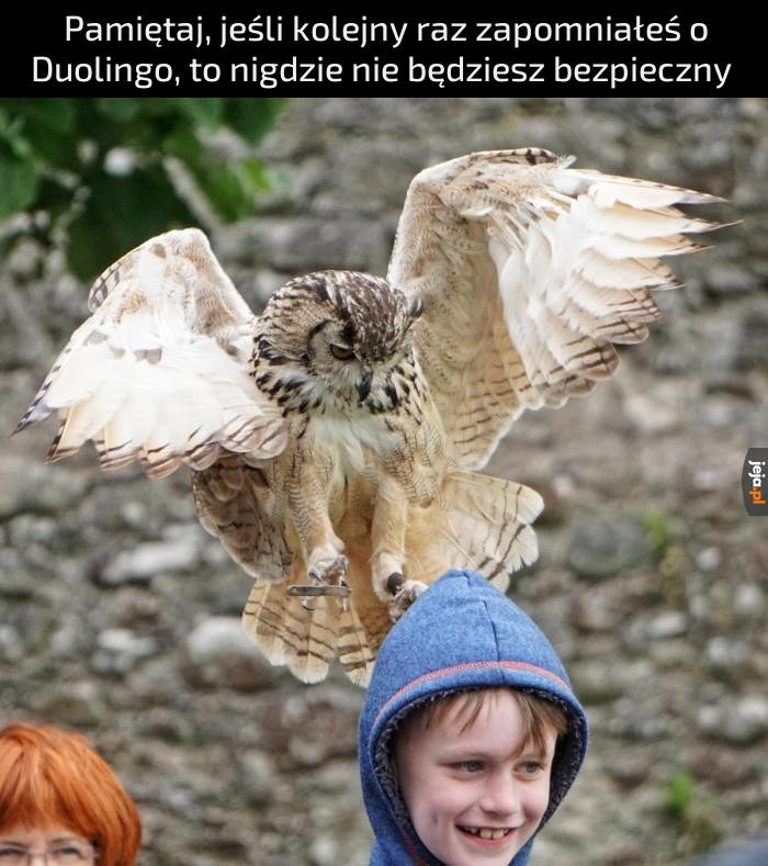 Sowa cię znajdzie...