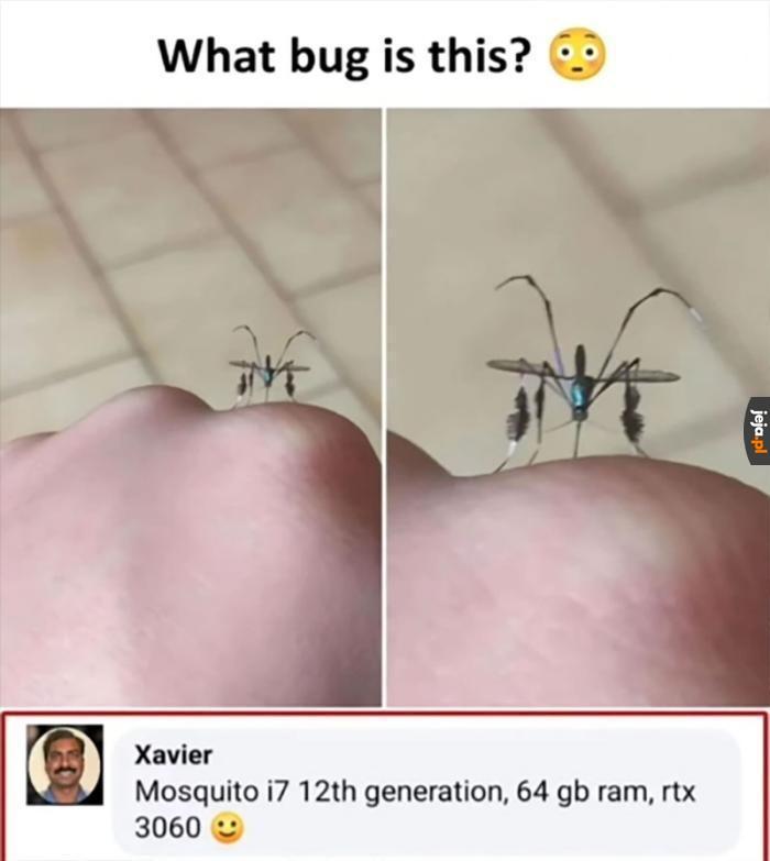 CyberKomar