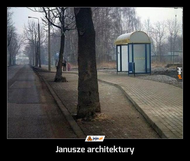 Janusze architektury