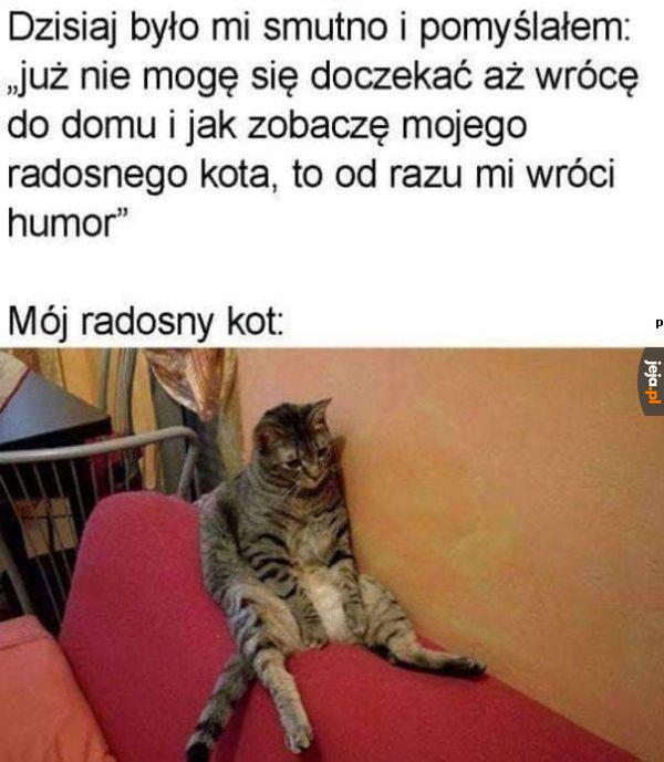 Blue Monday w pełni