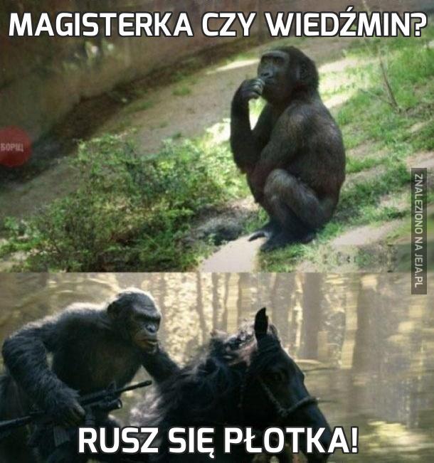 Magisterka czy Wiedźmin?