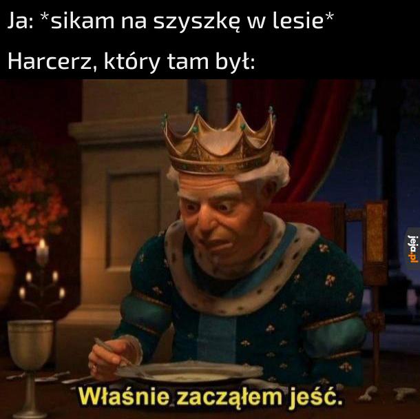 Sam jestem harcerzem