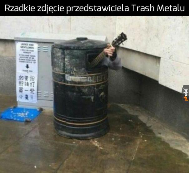 Trash Metal
