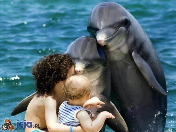 Delfiny też lubią się przytulać
