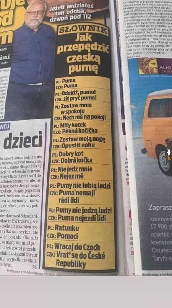 Jak przepędzić czeską pumę