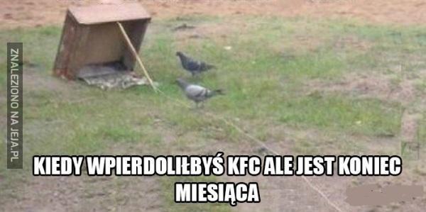 Niskobudżetowe KFC