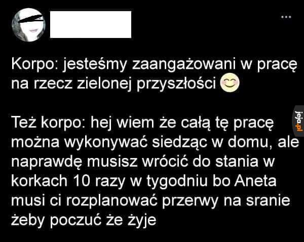 Trend się odwrócił