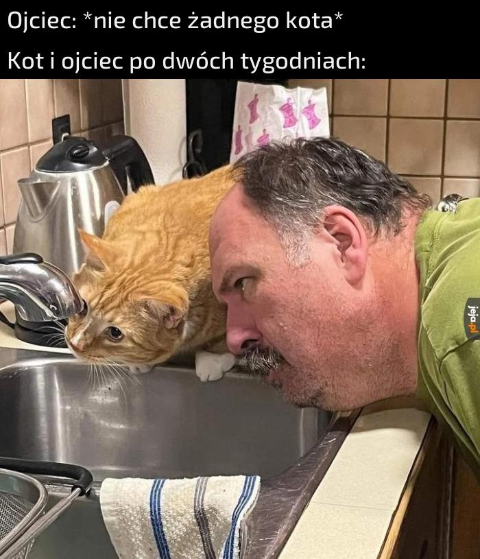 Jak ojciec z kotem