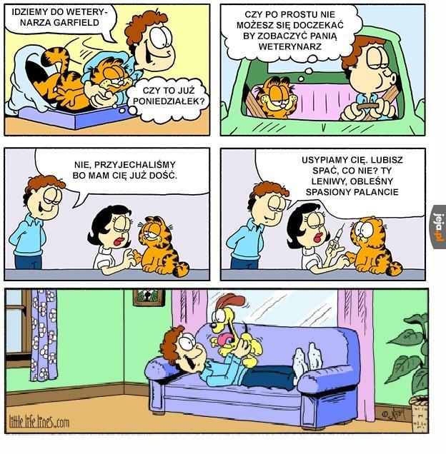 Ostatnia część przygód Garfielda