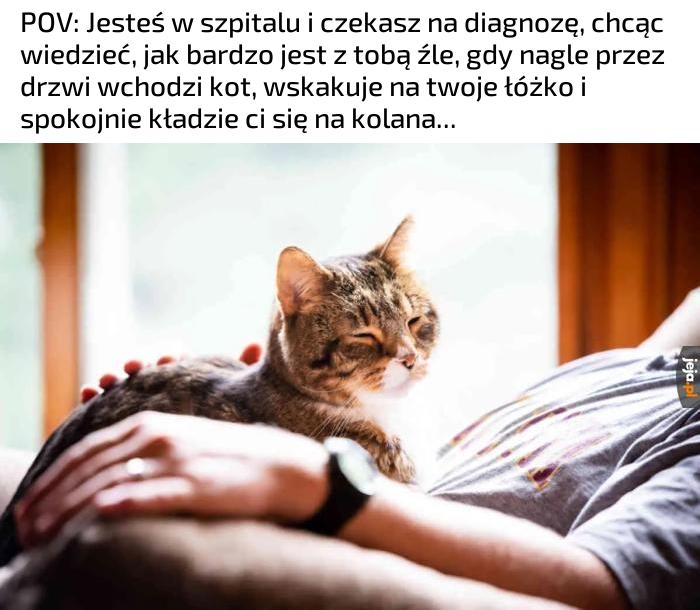 Teraz to już nawet Spider-Man nie zdąży przyjść