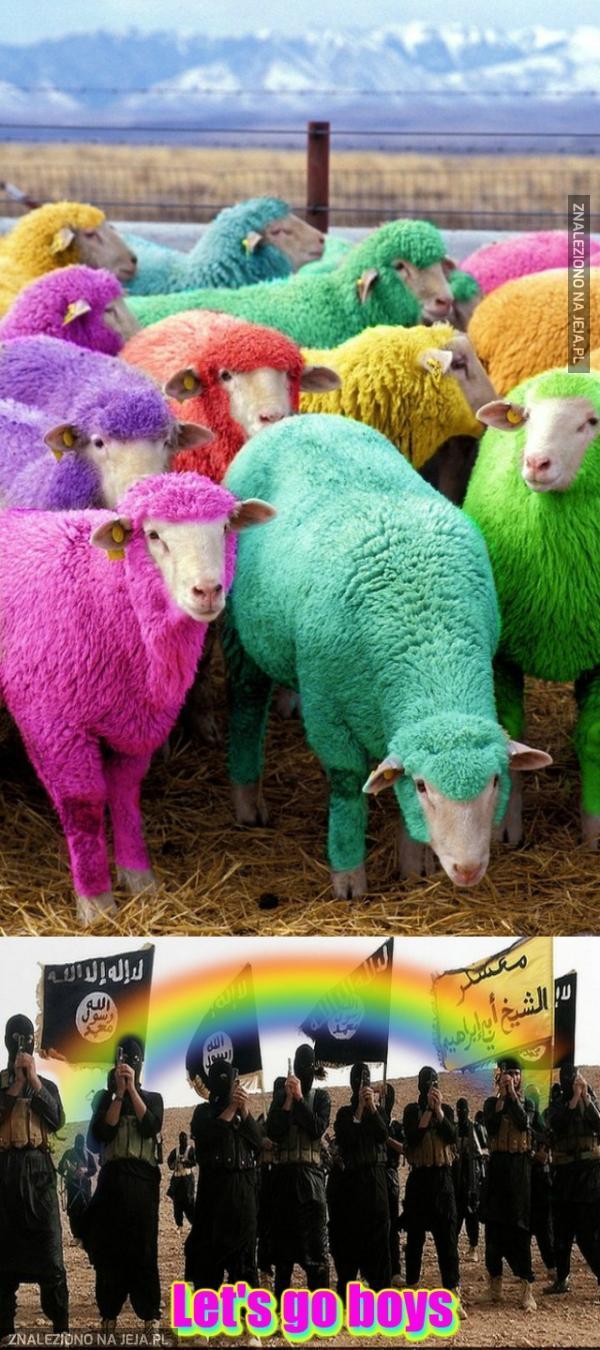 Kolorowe owieczki? Mmmm...