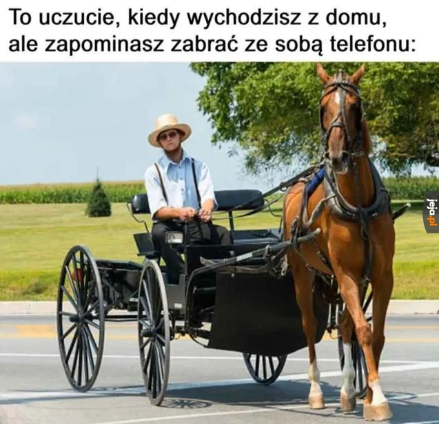 Jestem amiszem