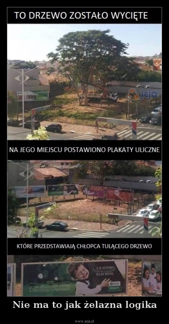 Nie ma to jak żelazna logika