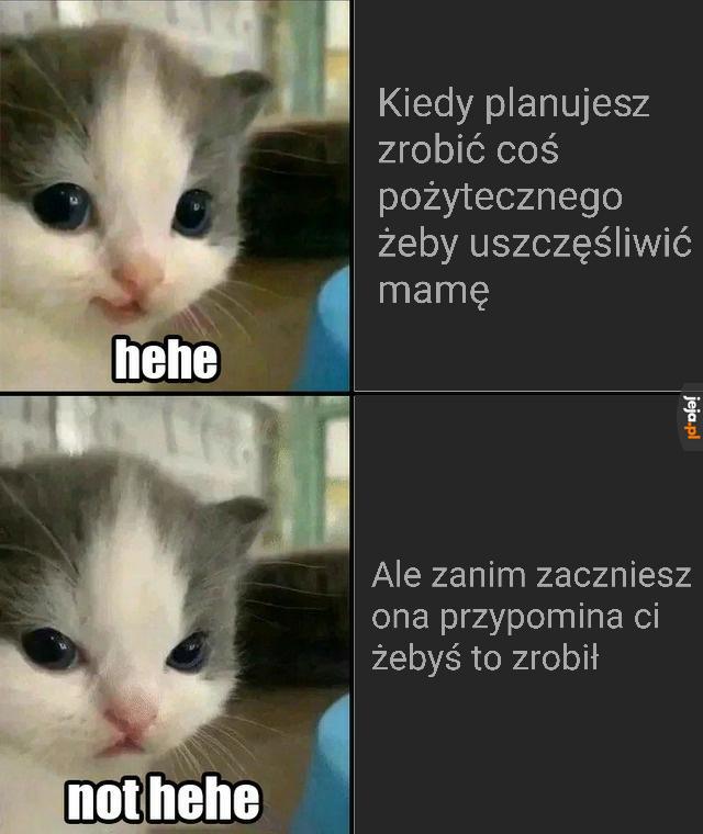 Nie umiem robić memów