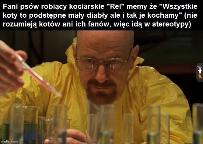 Niech przemówi kłamliwy język psiego człowieka