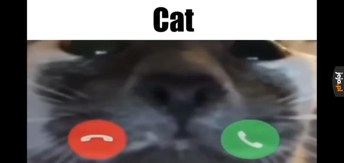 Pogadajmy