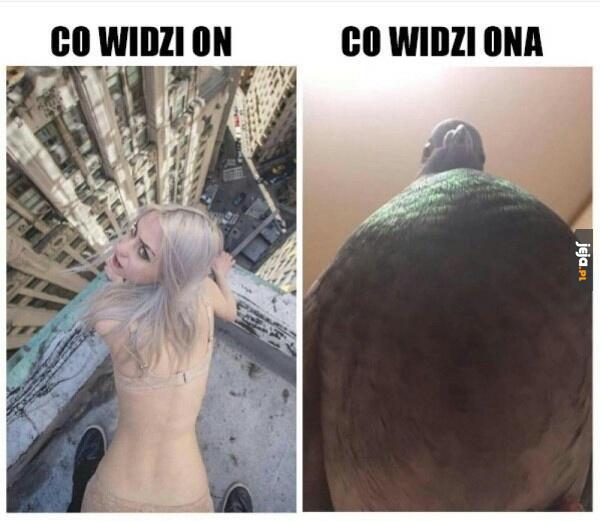 Chcesz trochę pogruchać?