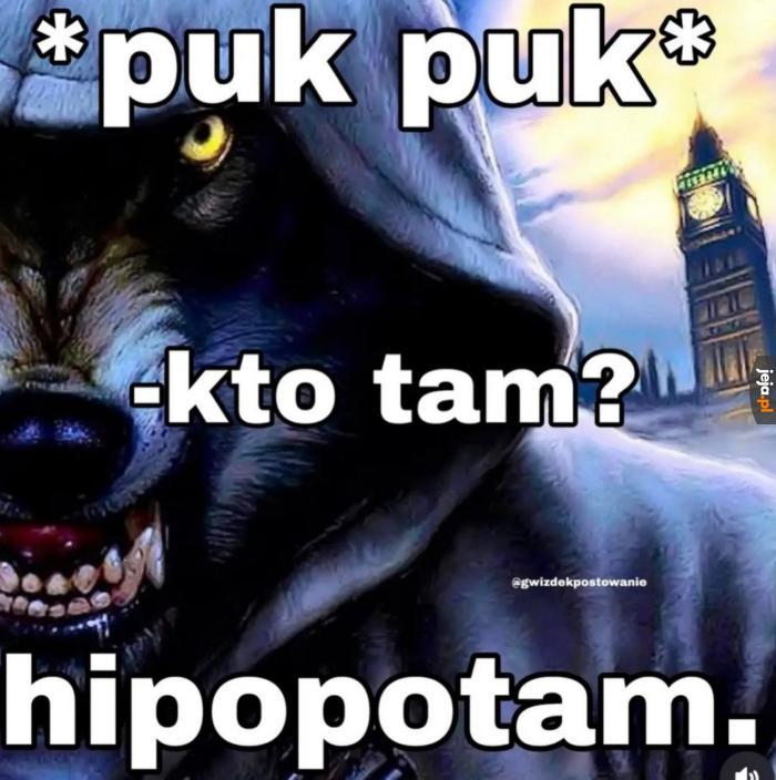 Z greki oznaczający konia rzecznego, tu domyślnie nilowego