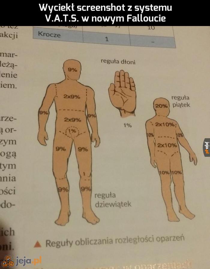 Pełen realizm
