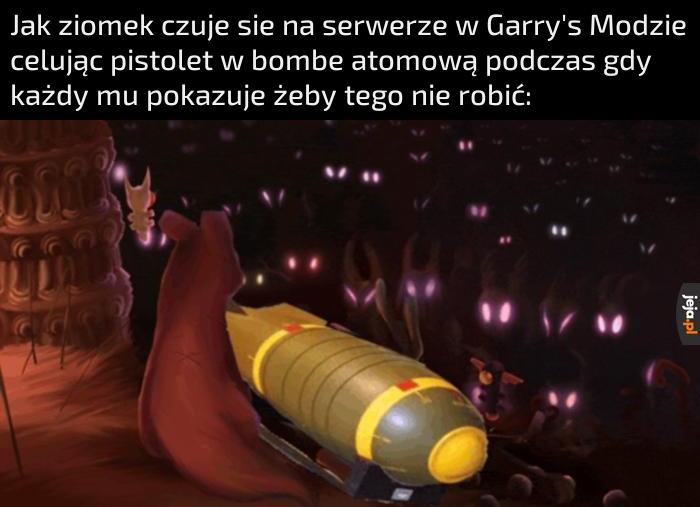Nieusłuchany kot