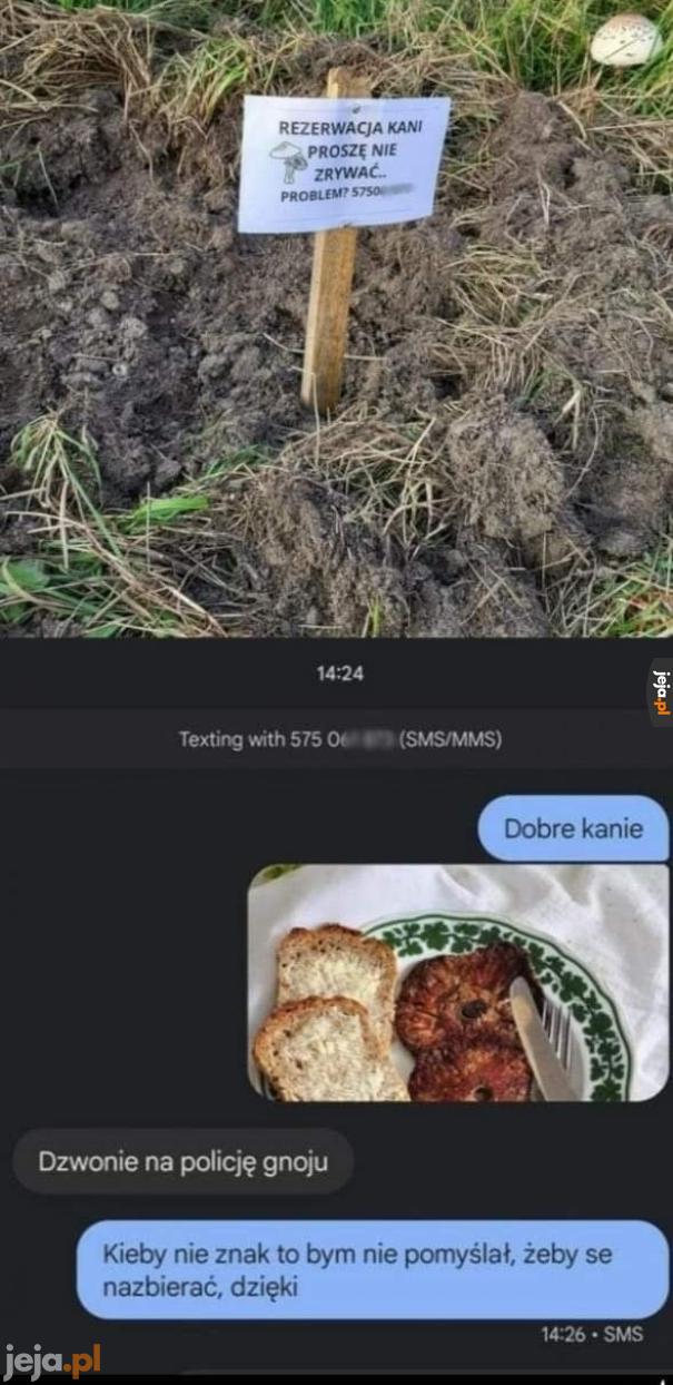 Dobre kanie