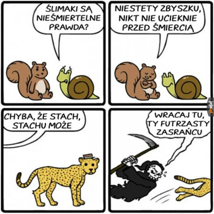 Wracaj tu!