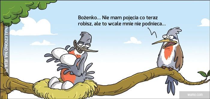 Bożena, chyba cię poniosło!