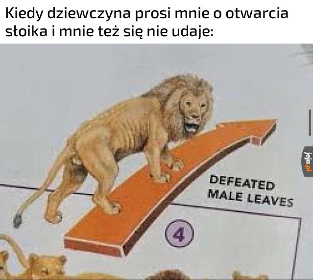 Jedzcie warzywa sezonowe codziennie