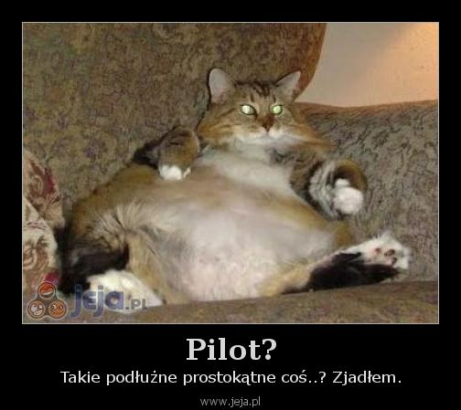 Pilot?
