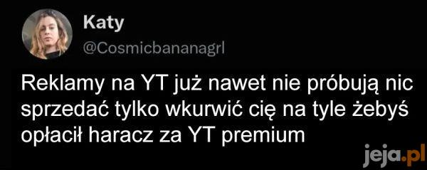 Fakty