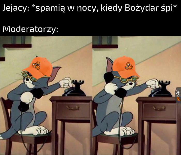 Dzwonię po kota