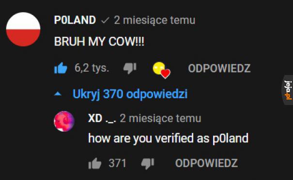 Zweryfikowana Polska