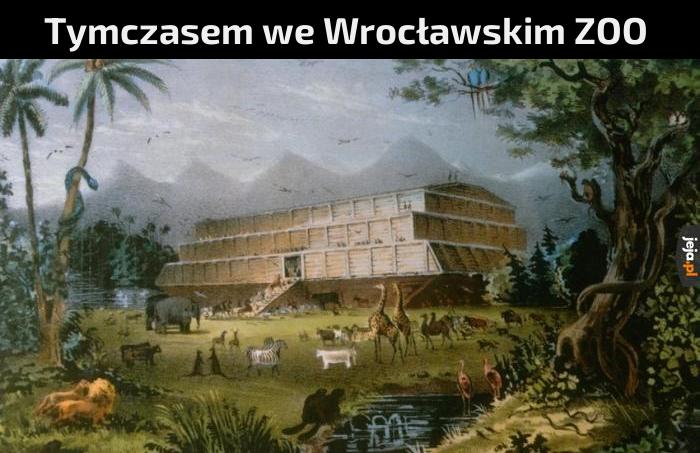 A przynajmniej tak powinni zrobić