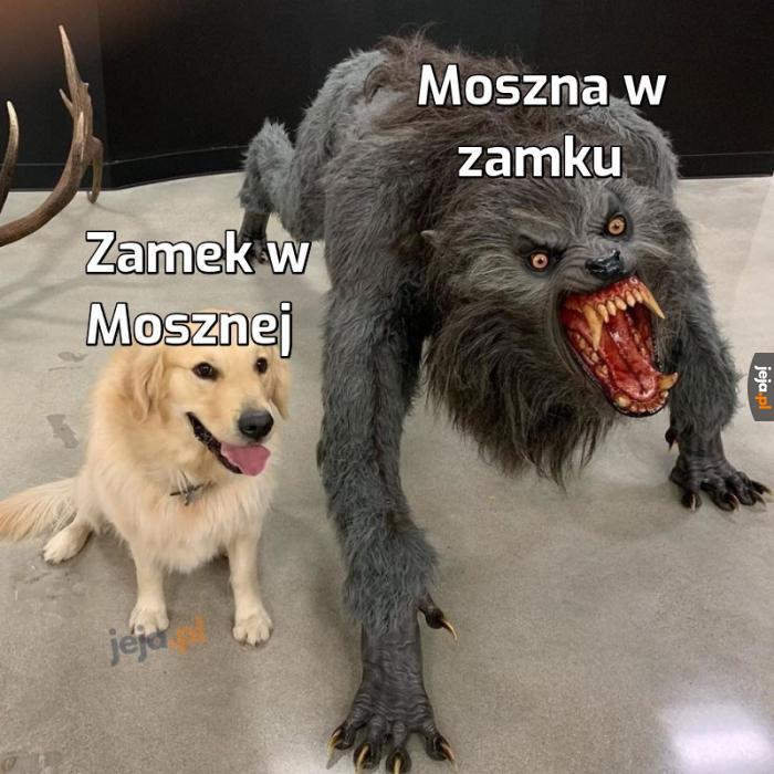 Opolszczyzna mentioned