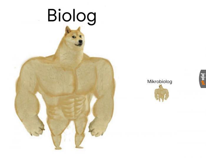 Biologiczne śmieszki