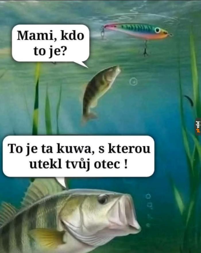 A to szlora