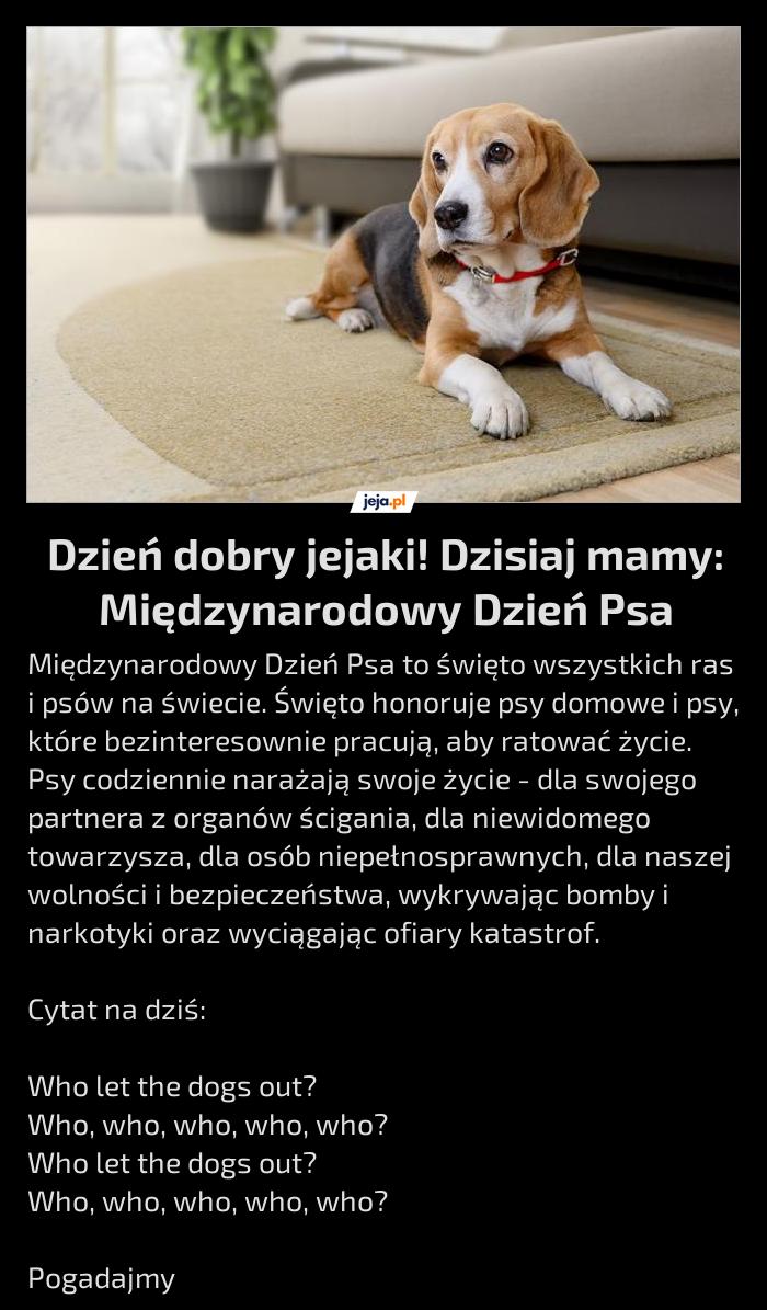 Dzień dobry jejaki! Dzisiaj mamy: Międzynarodowy Dzień Psa