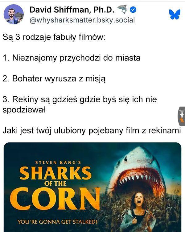 Rekiny są najlepsze