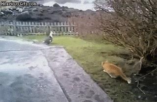Co tam porabiasz? Polujesz?