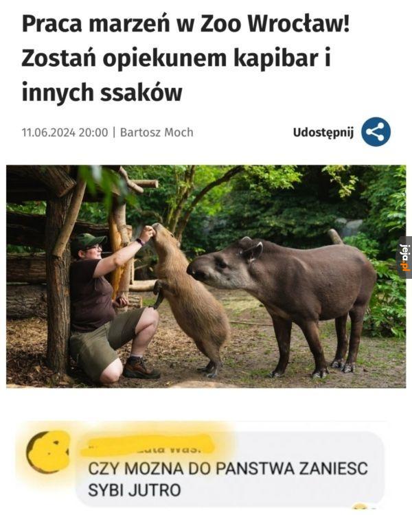 Tak to można pracować
