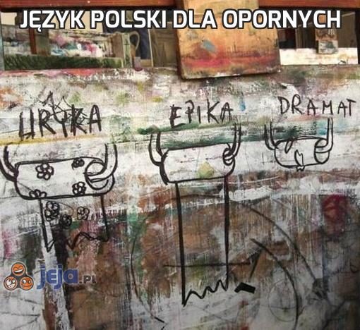 Język polski dla opornych