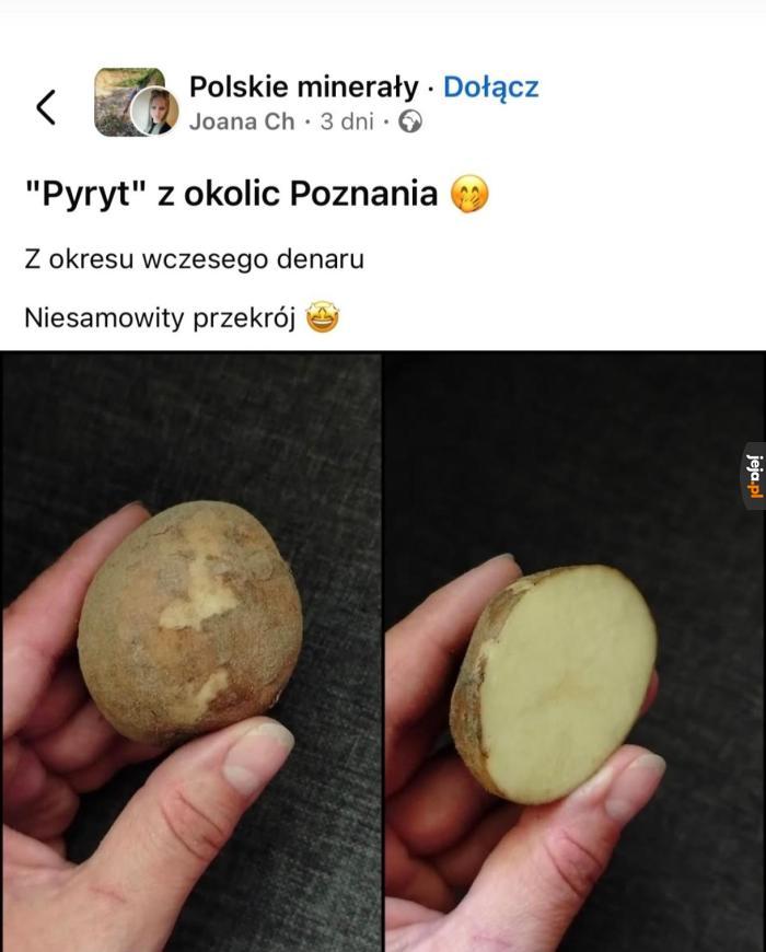Rzadki okaz