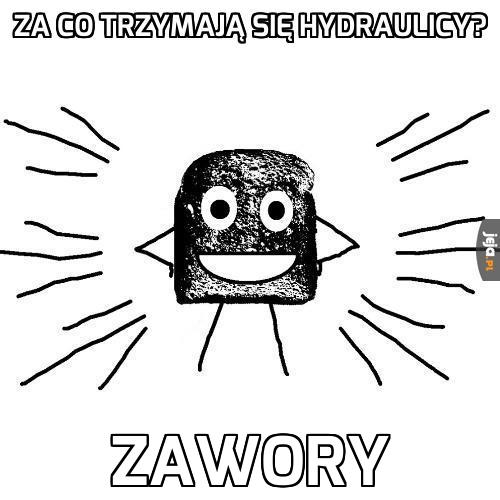 Uwaga, suchar!